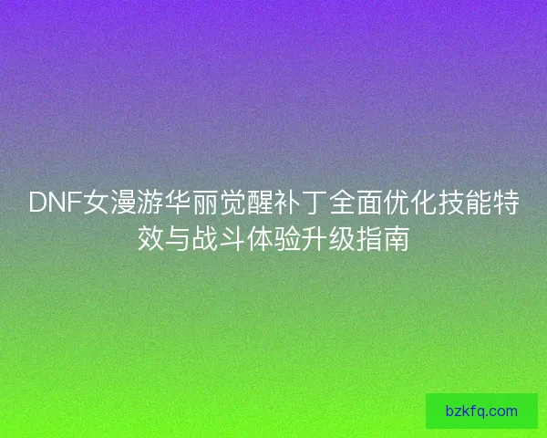 DNF女漫游华丽觉醒补丁全面优化技能特效与战斗体验升级指南