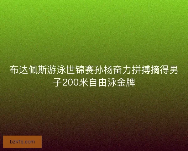 布达佩斯游泳世锦赛孙杨奋力拼搏摘得男子200米自由泳金牌