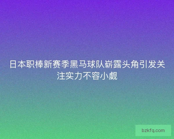 日本职棒新赛季黑马球队崭露头角引发关注实力不容小觑